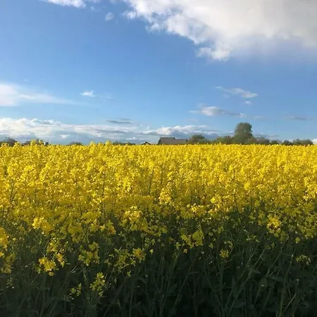 アパート Cosy In Kleinich