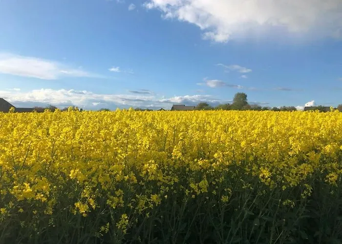 アパート Cosy In Kleinich